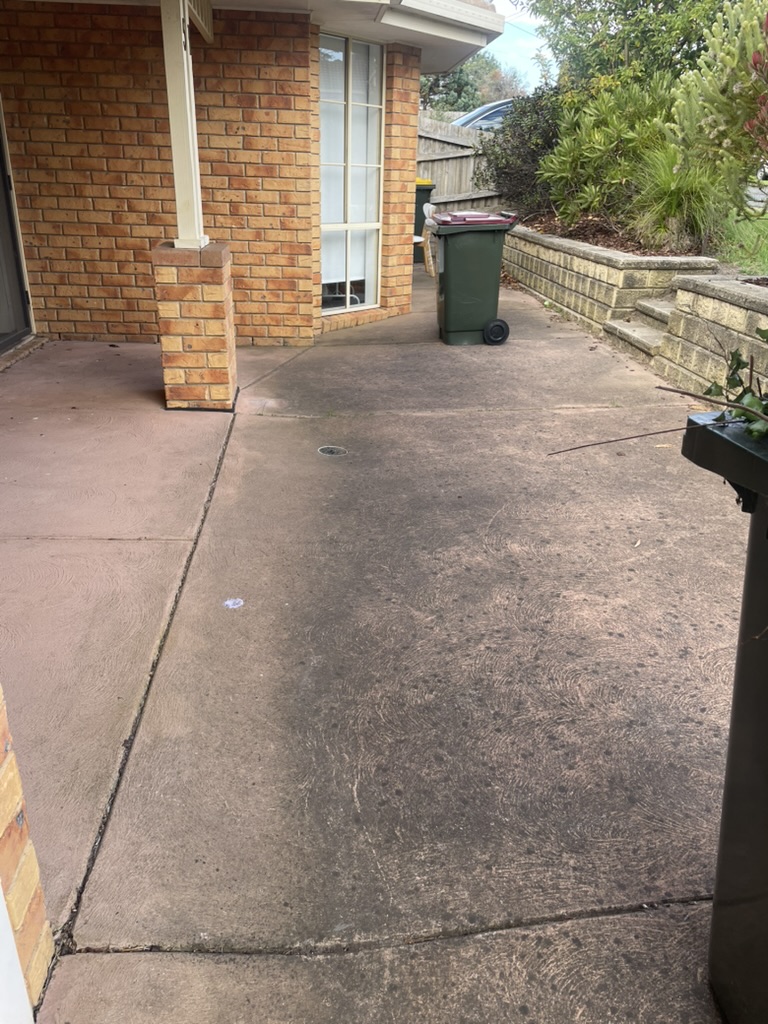 Driveway before